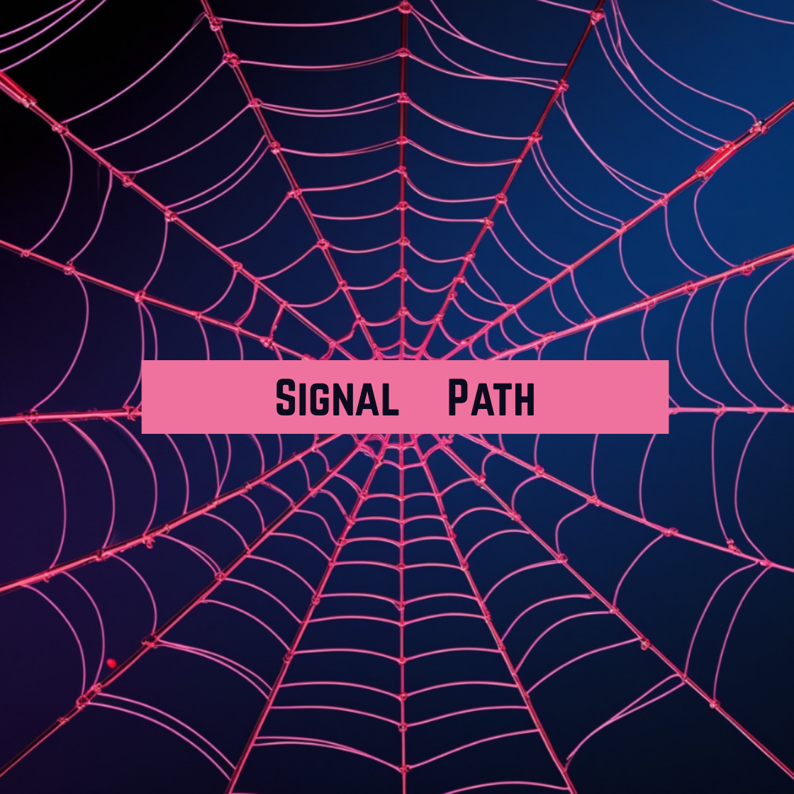 Signal Path